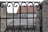 21. Pogled na gusternu
